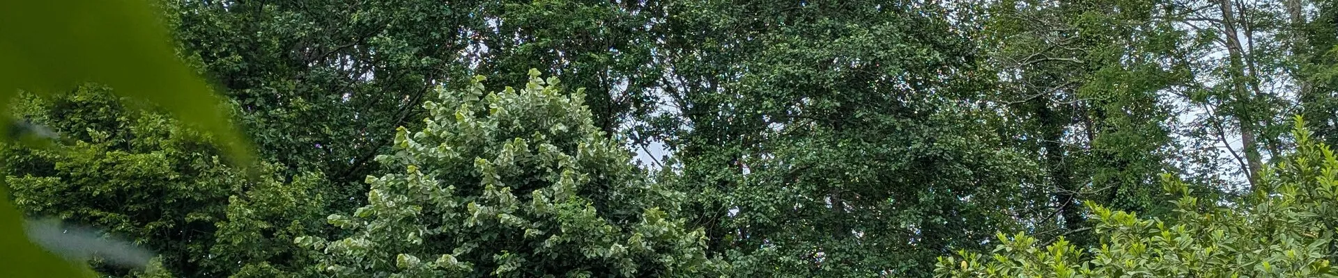 Paysage du marais poitevin