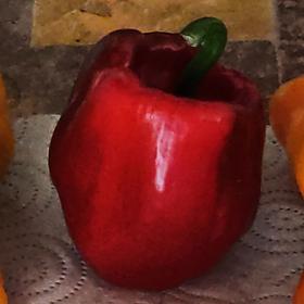 Poivron - Ruby King