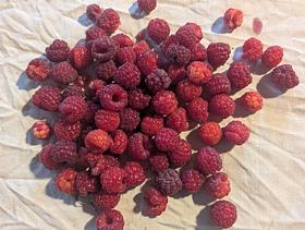 Framboise